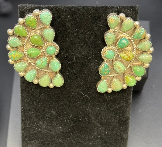 Sonoran Gold Zuni half cluster stud earring